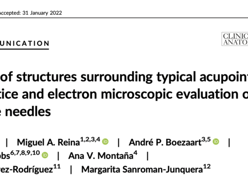 “Microscopy of estructures surrounding typical acupoints used in clinical practice and electron microscopic evaluation of acupuncture needles”