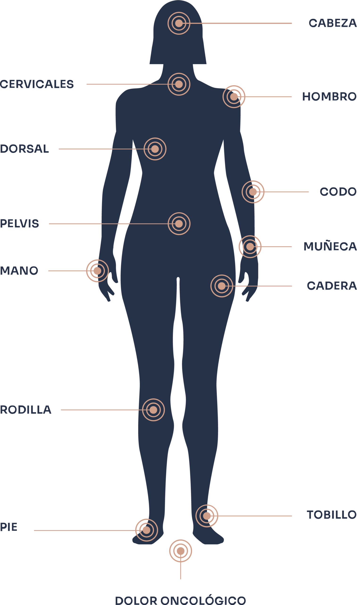 Cuerpo humano
